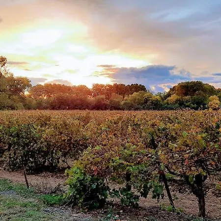 Couette-café Château Rieutort