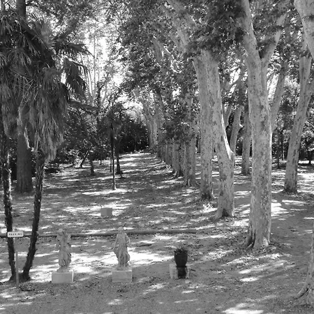 Château Rieutort Couette-café Saint-Pargoire