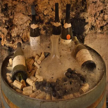 Chateau Rieutort Отель типа 