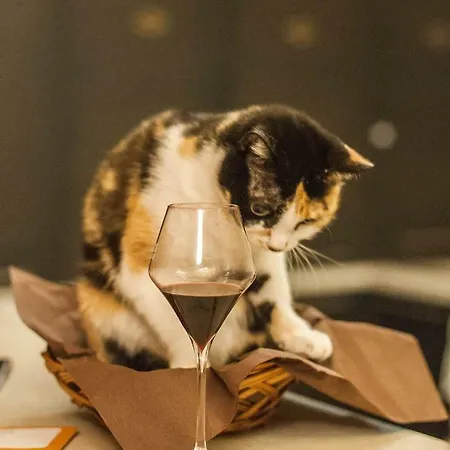 Château Rieutort Couette-café 4*